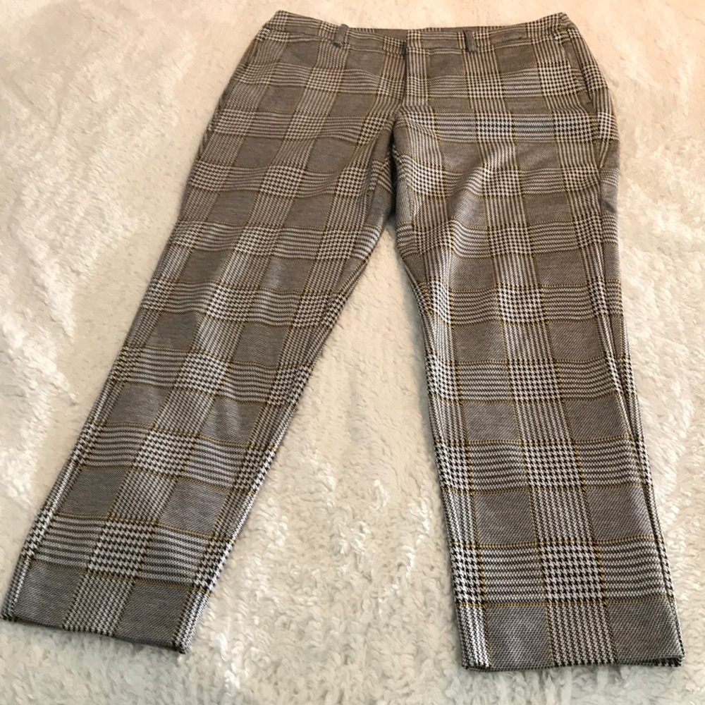 Dress pants